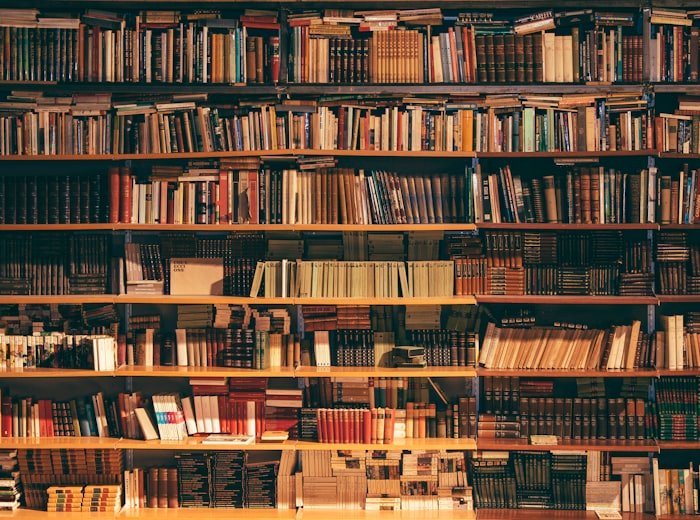 The Ridgeline Archive Is Open To Every Undergraduate